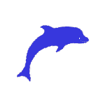 Yankee Dolphin 24 insignia