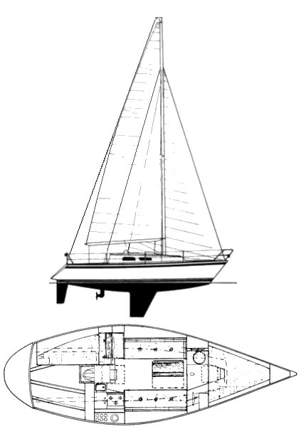 Drawing of Finn Flyer 31