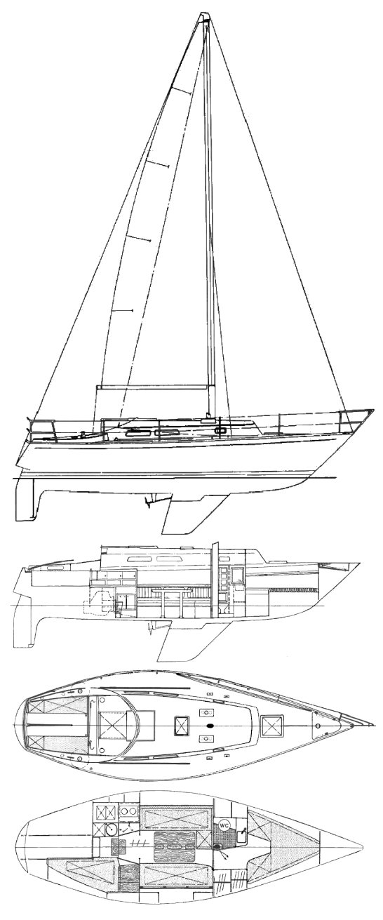 Drawing of Carter 30