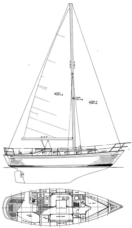 Drawing of Rafiki 35