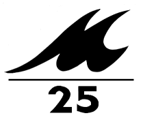 Merit 25 insignia