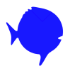 Sunfish insignia