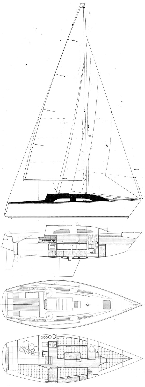 Drawing of Whiting 29