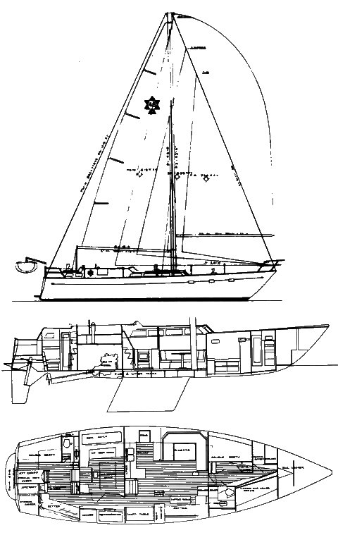 Drawing of Maple Leaf 48