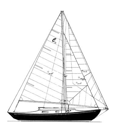 Drawing of Classic 31