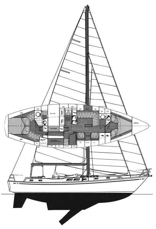 Drawing of Brewer 12.8