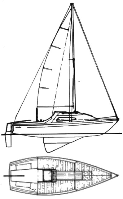 Drawing of Manta 19