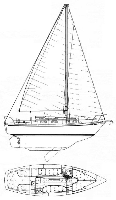 Drawing of Pied Piper 28