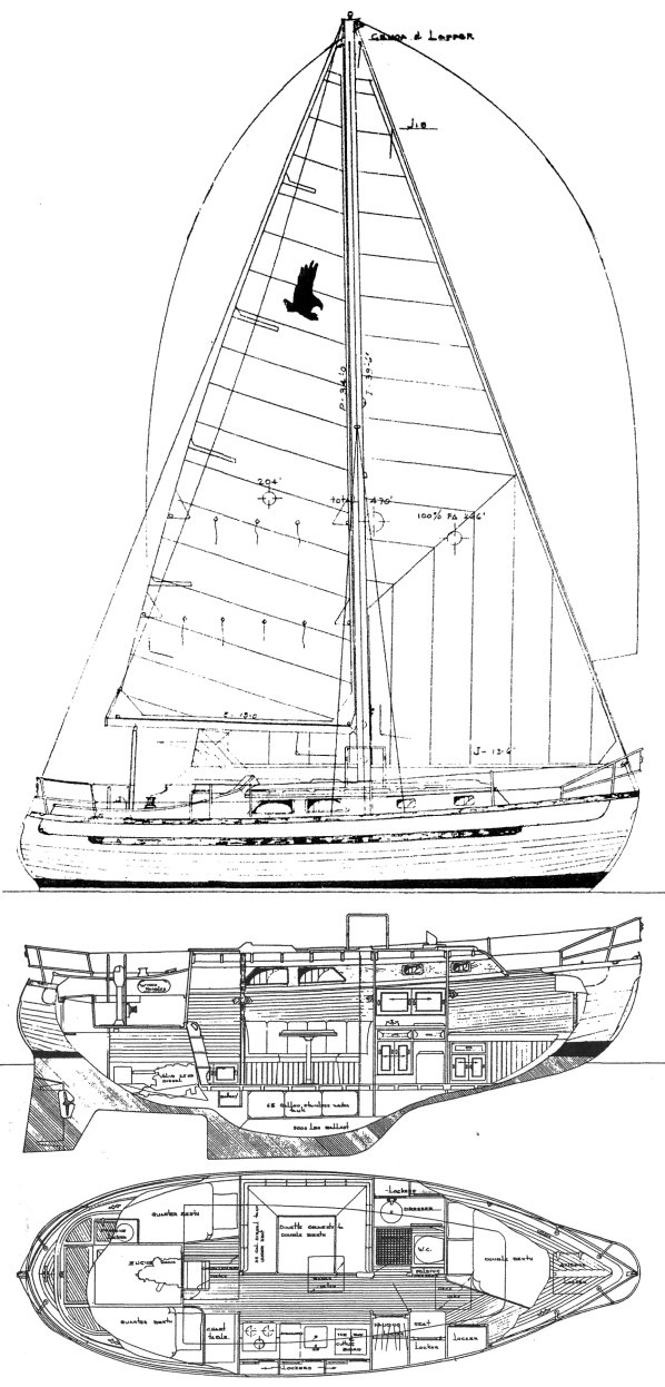 Drawing of Sea Eagle 31