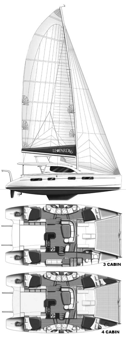 Drawing of Leopard 46