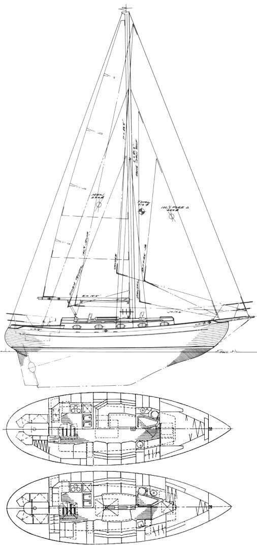 Drawing of Baba 35