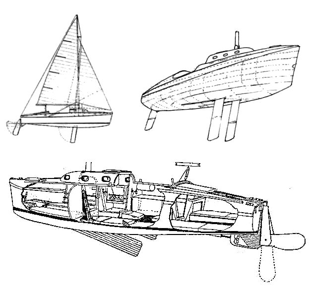 Drawing of Atalanta 26