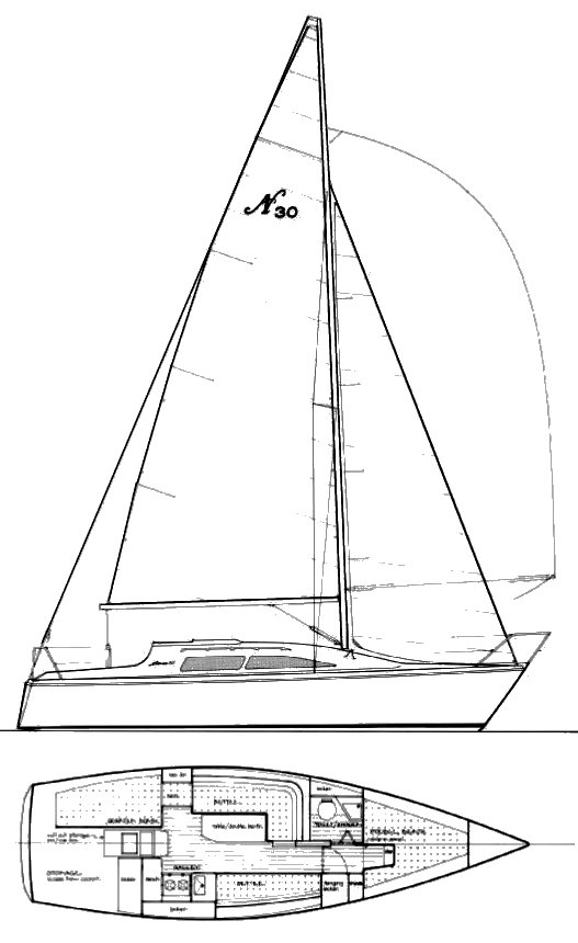 Drawing of Noelex 30