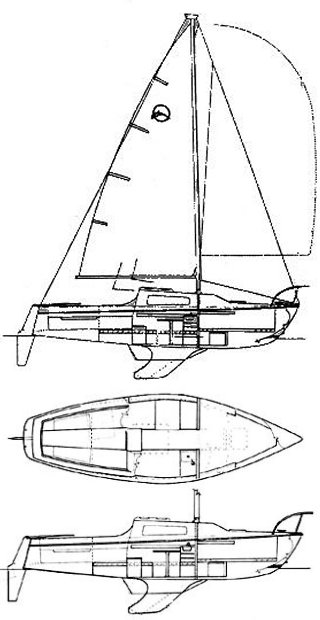 Drawing of Olympic Dolphin 23