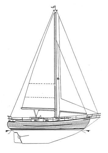 Drawing of Young Sun 35
