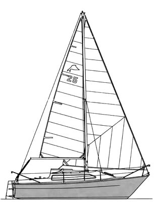 Drawing of Sailfish 25
