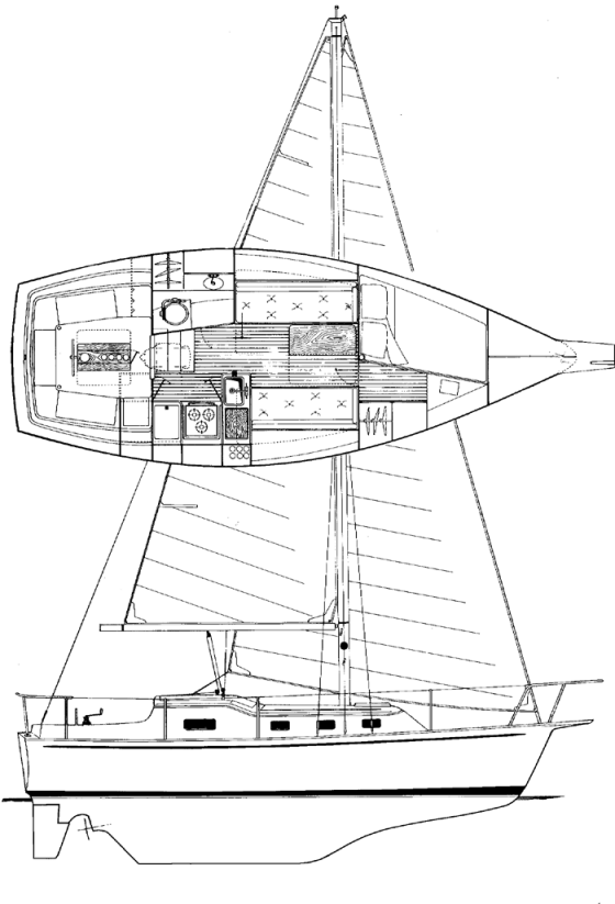 Drawing of Bombay Clipper 31