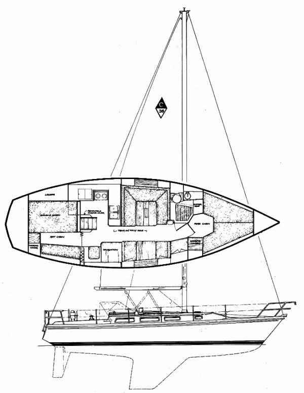 Drawing of Catalina 36