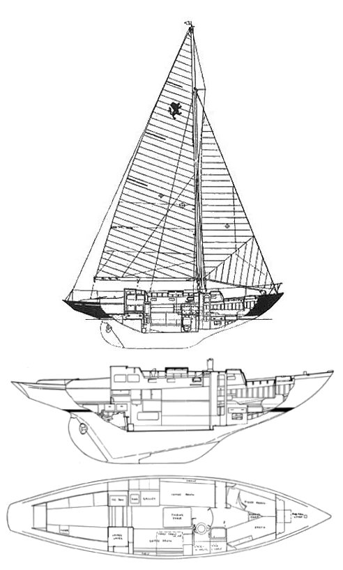 Drawing of Lion Class (Robb)