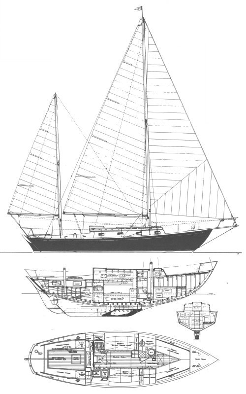 Drawing of Dickerson 35 (Whittholz)