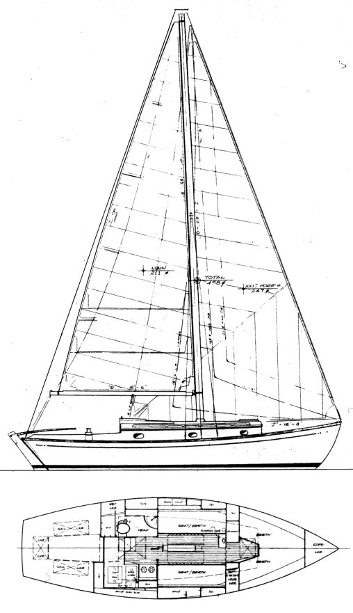 Drawing of Annie 30