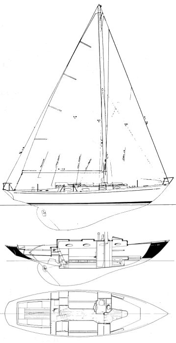 Drawing of Pipedream 37