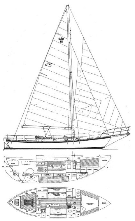 Drawing of Alajuela 38
