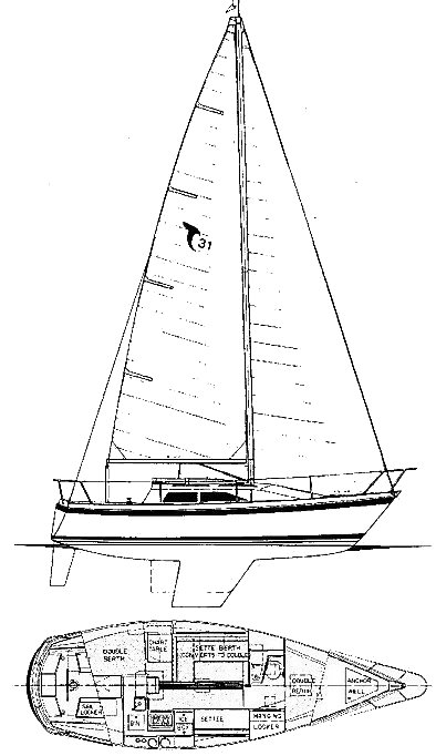 Drawing of Tanzer 31