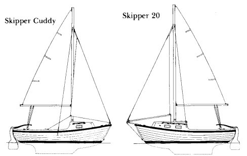 Drawing of Skipper 20