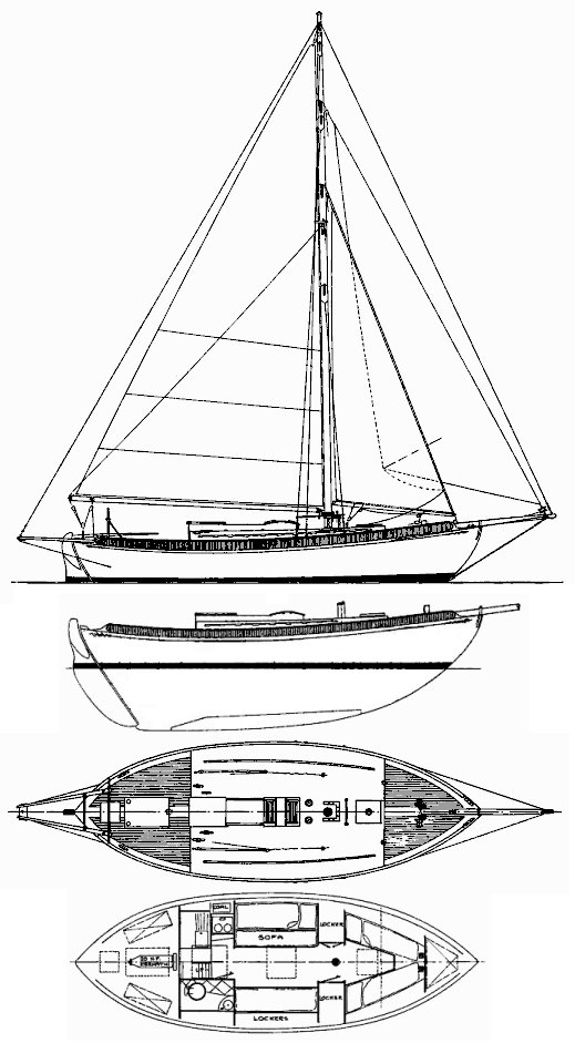Drawing of Thistle 31