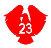 American 21 (Ami) insignia