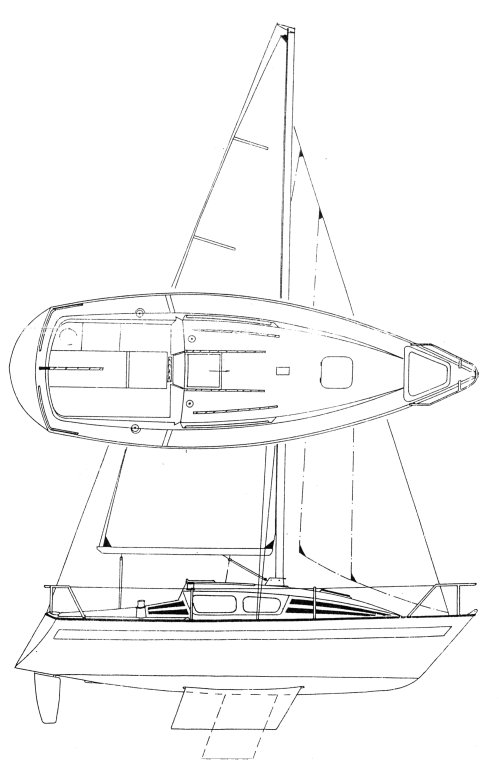 Drawing of Jaguar 24