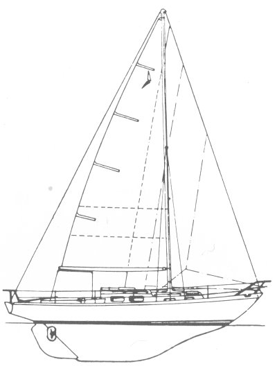 Drawing of Trintella 29