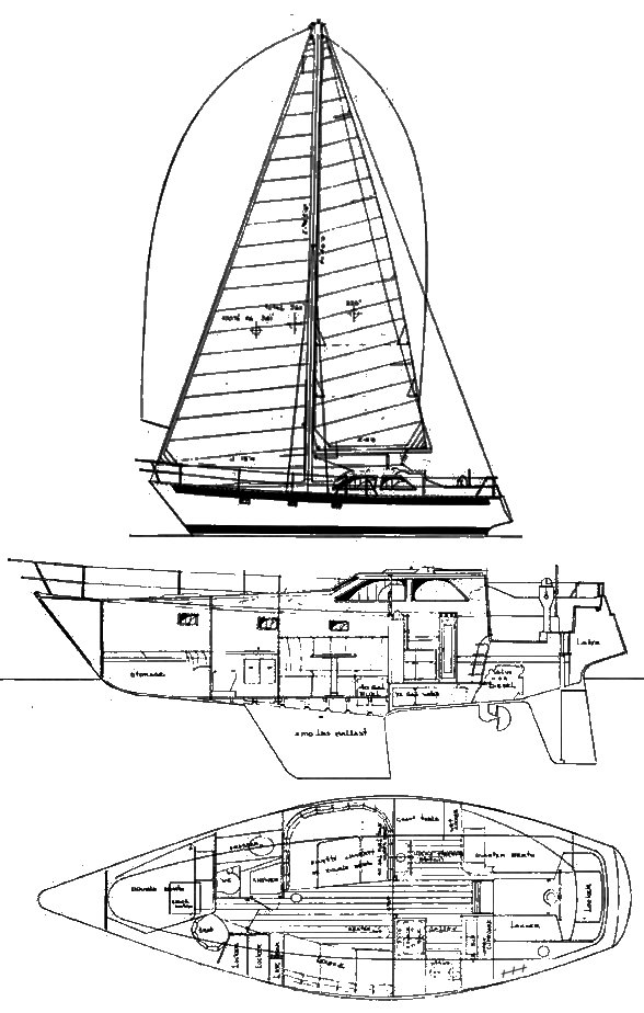 Drawing of Cooper 353