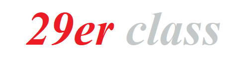 29er Class logo