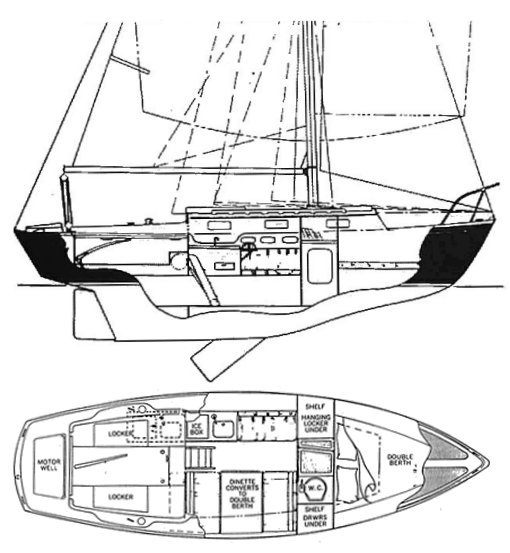 Drawing of Pacific Dolphin 24