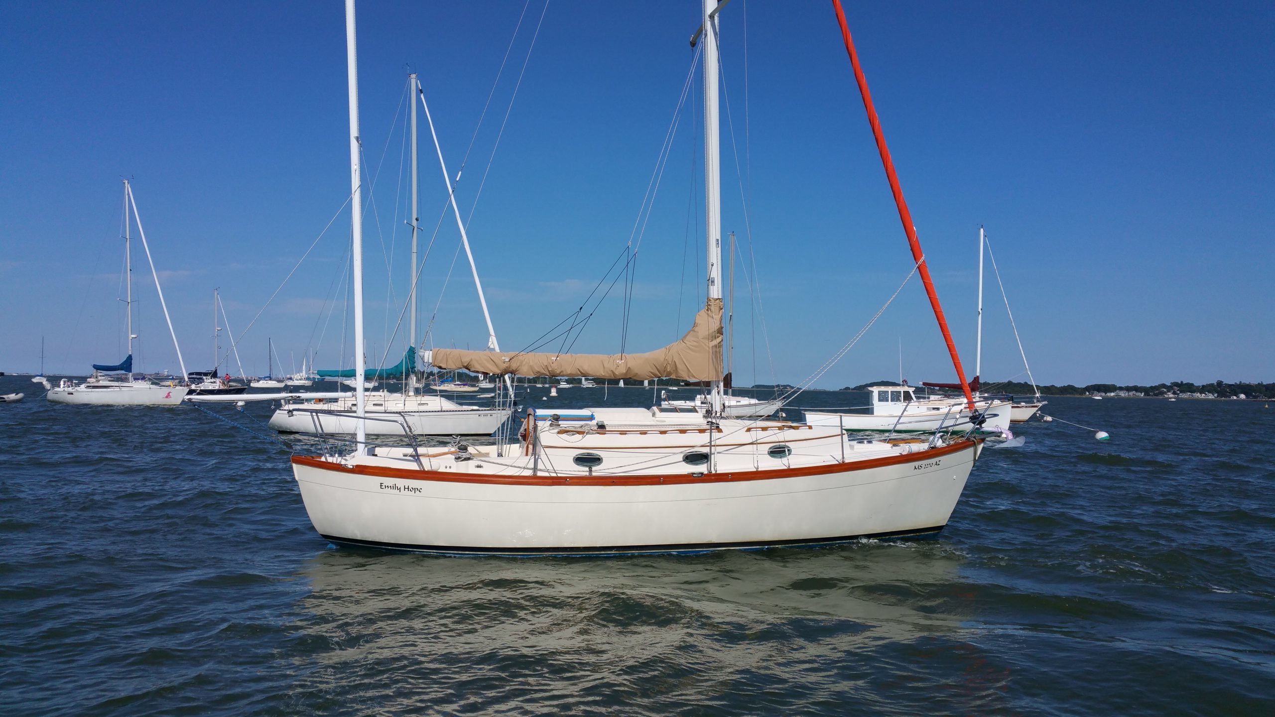 nimble 30 sailboat for sale