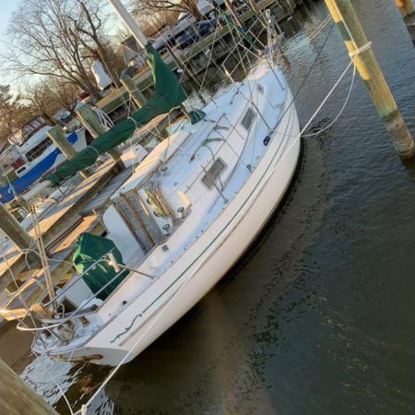 29 bayfield sailboat