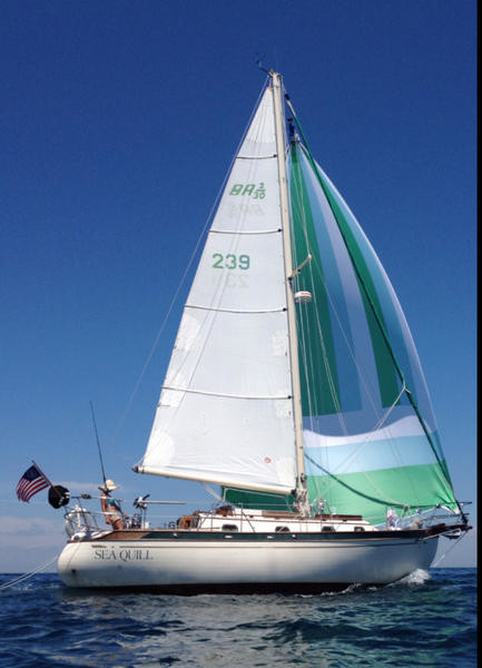 baba 38 sailboat