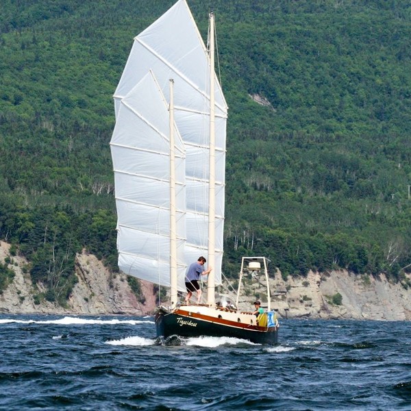 tom thumb 24 sailboat