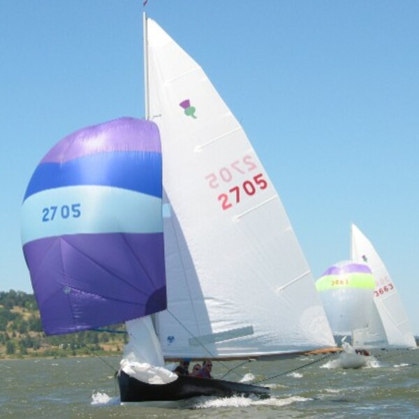 thistle sailboat sails