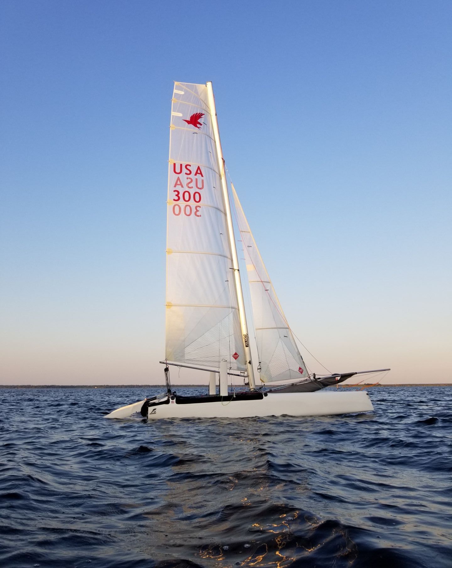 f 16 sailboat for sale