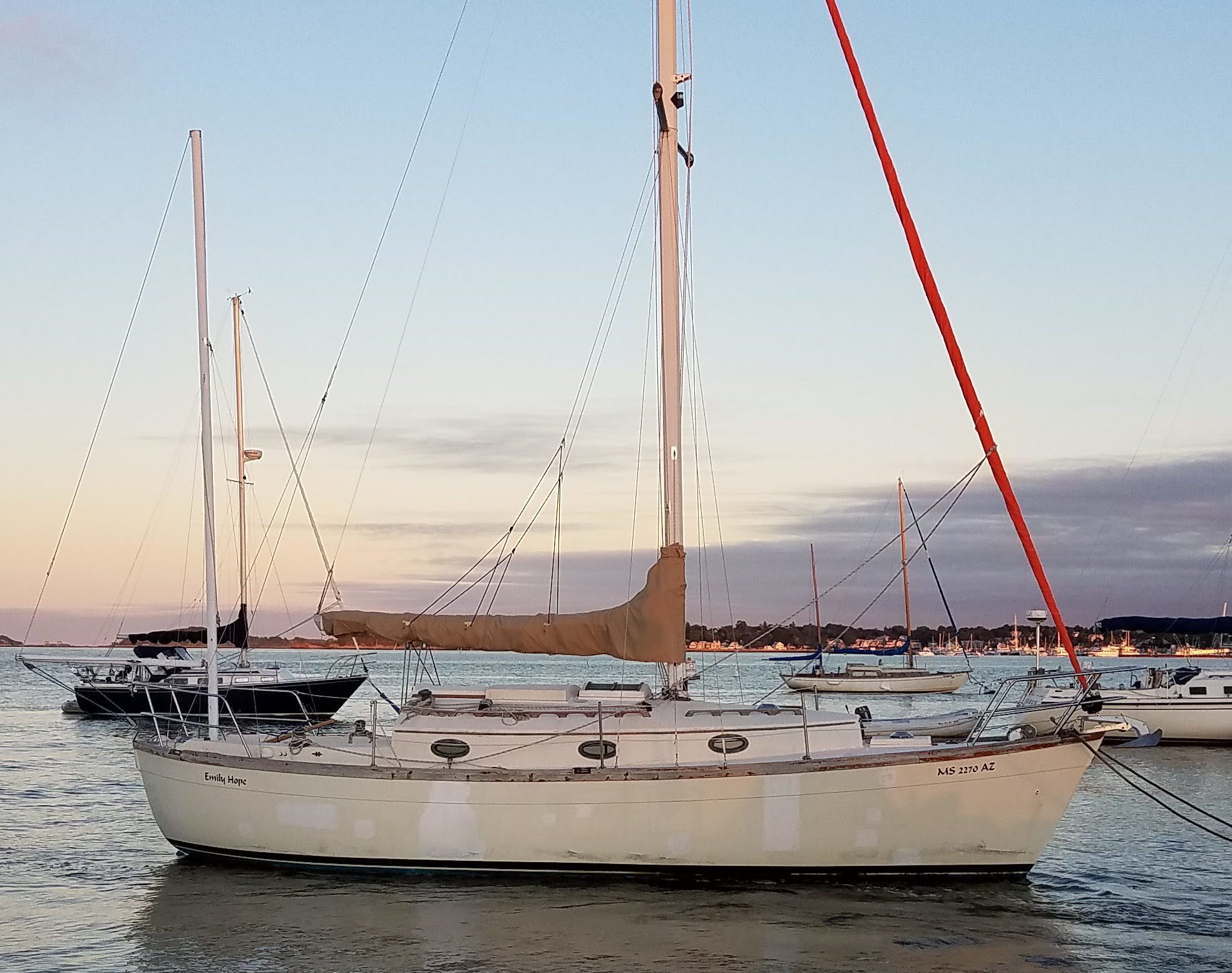 nimble 30 sailboat review