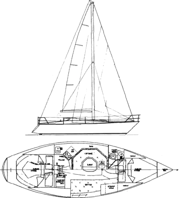 Drawing of Aus Endeavour 30