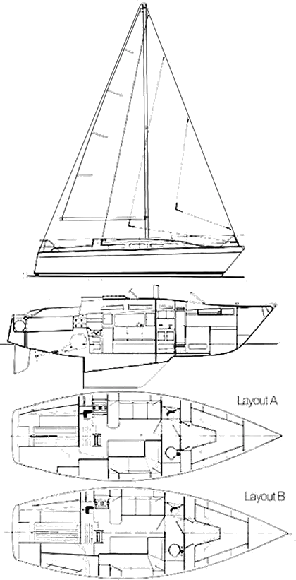 Drawing of Dolphin 31