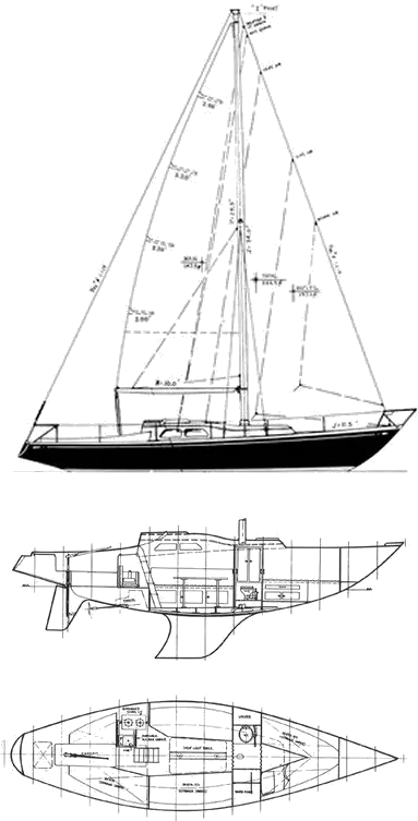 Drawing of She 31