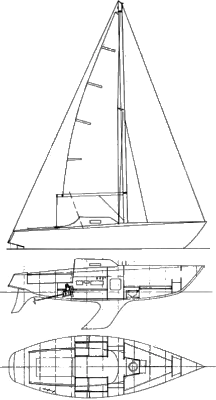 Drawing of Arlecchino 1/4 Ton