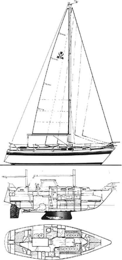 contest 33 sailboat