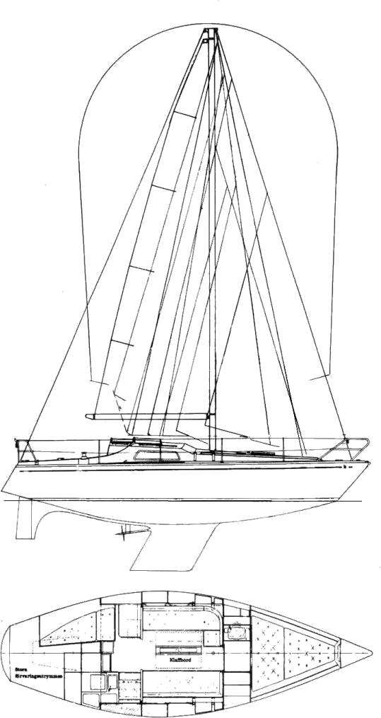 Drawing of Scampi 30-2