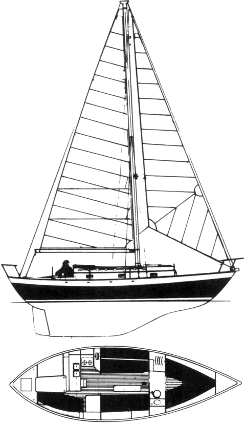 Drawing of Victoria 30 (Paine)